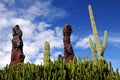 The Cactus Garden, Lanzarote. Canary Islands, Spain Royalty Free Stock Photo